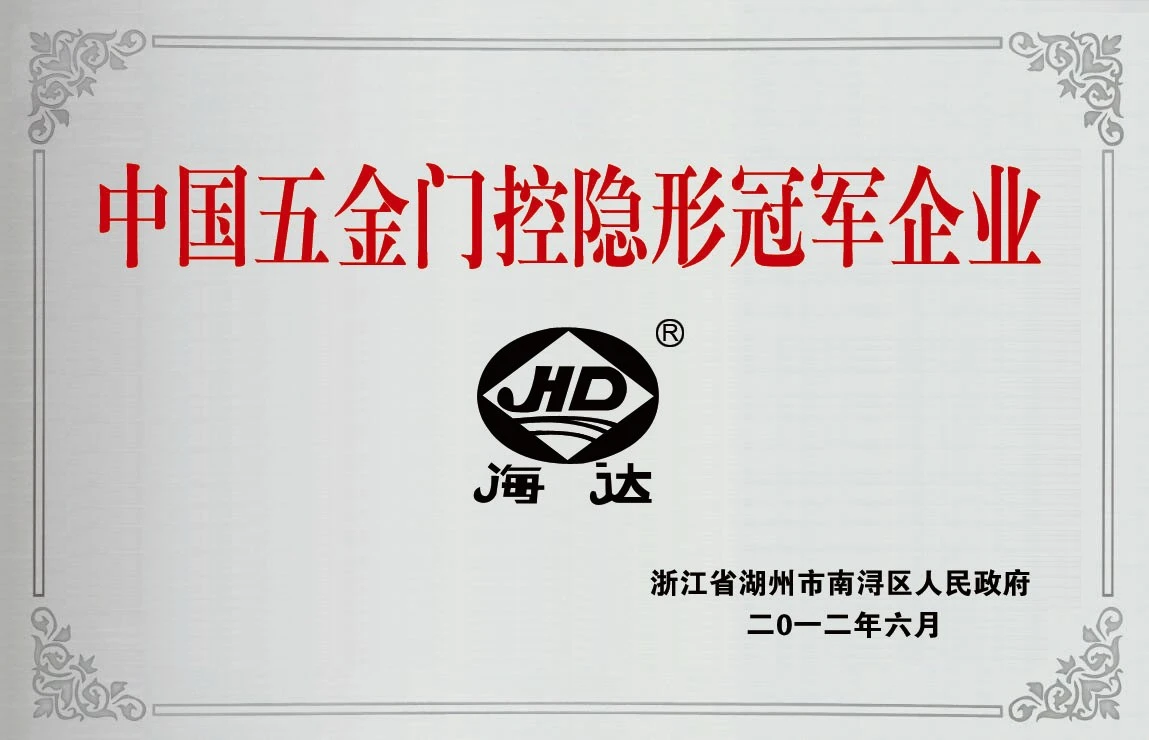 China Hardware Door Control Hidden Champion Enterprise.jpg